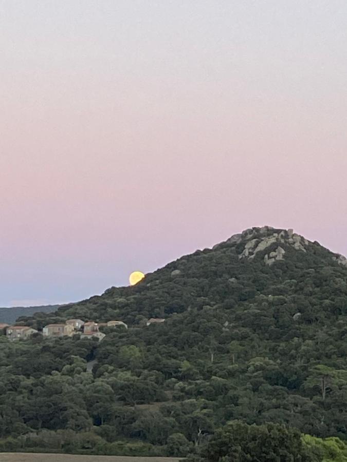 En A Vue Panoramique Sur Porto-vecchio !