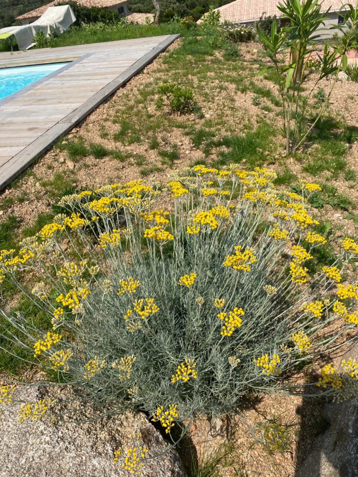Vakantiehuis En A Vue Panoramique Sur Porto-vecchio ! Sotta